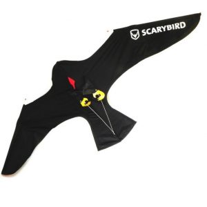 scarybird 300x300 - Shop